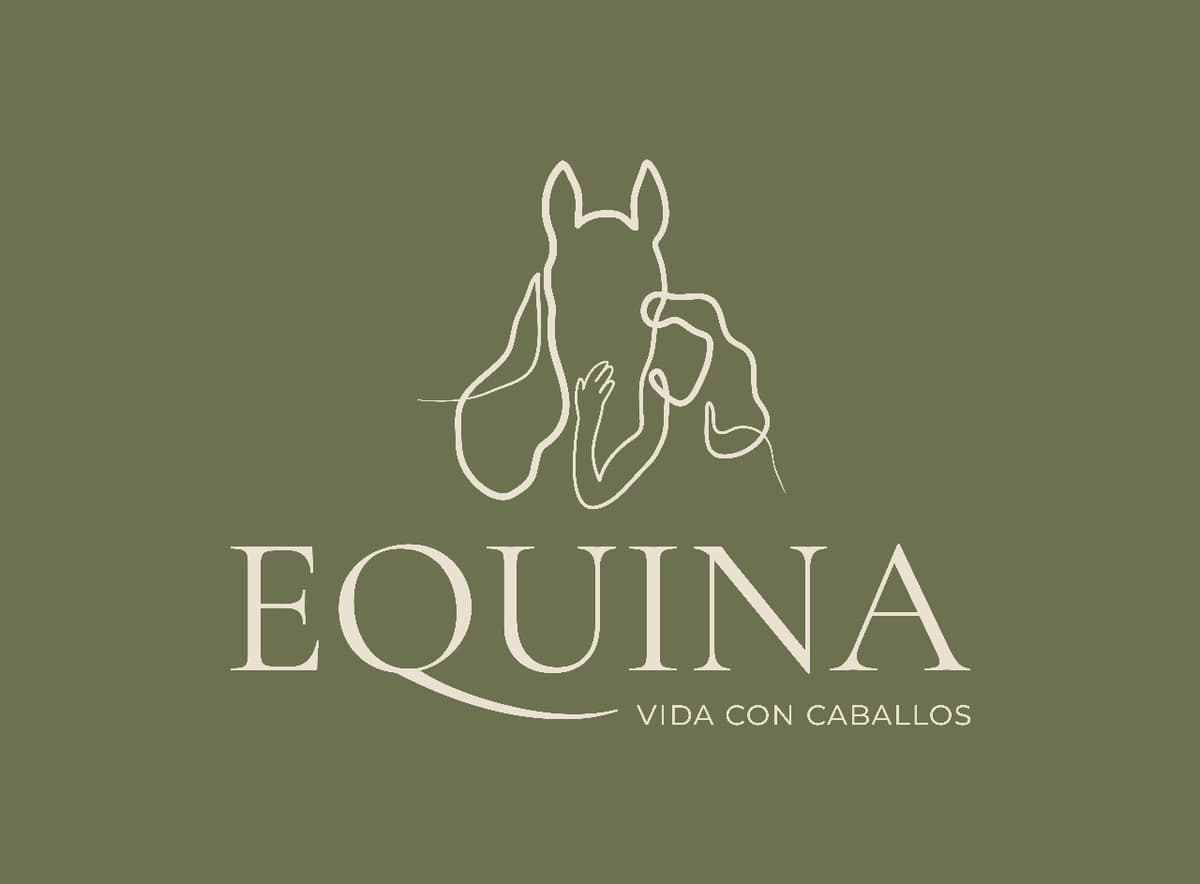 Custom CMS website project for Equina Profesional